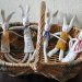 kleine-hasen