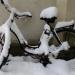 Winterfahrrad