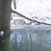Winter 2009