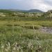 Dovrefjell